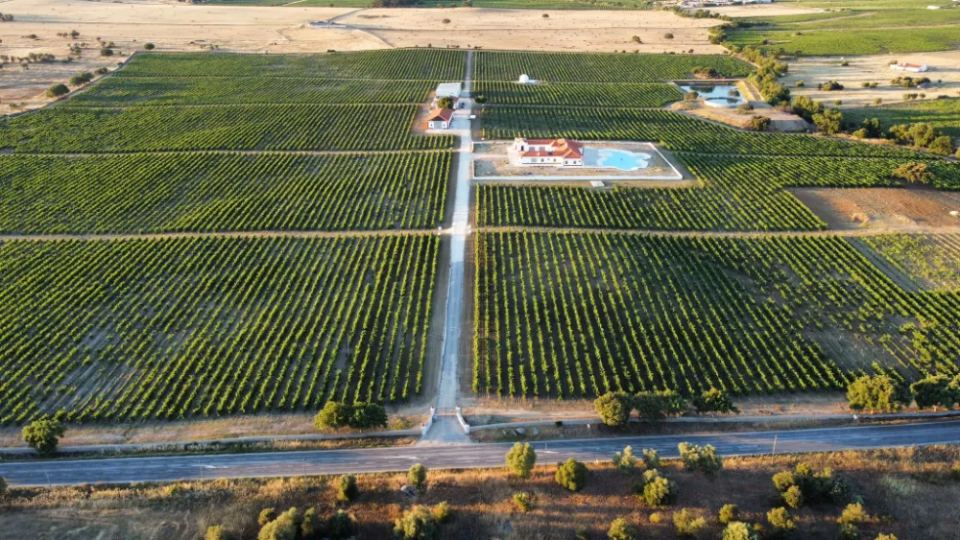 Vineyardsandluxuryestate,For Sale,1010015980 MLS # 1010015980