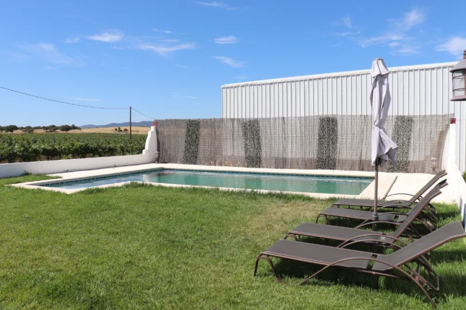 Vineyardsandluxuryestate,For Sale,1010015980 MLS # 1010015980