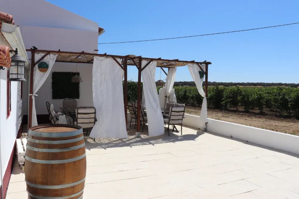 Vineyardsandluxuryestate,For Sale,1010015980 MLS # 1010015980