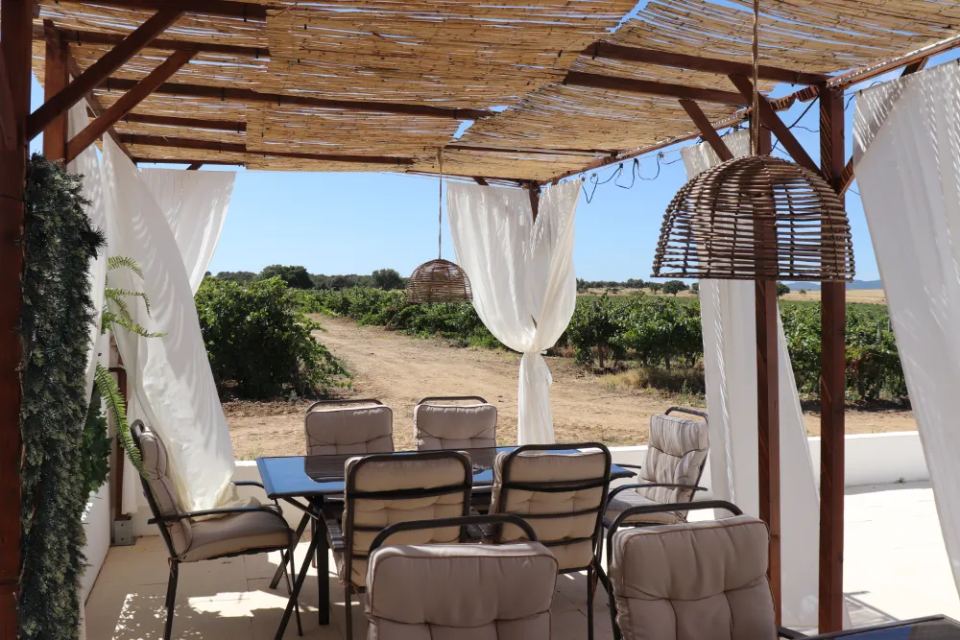 Vineyardsandluxuryestate,For Sale,1010015980 MLS # 1010015980