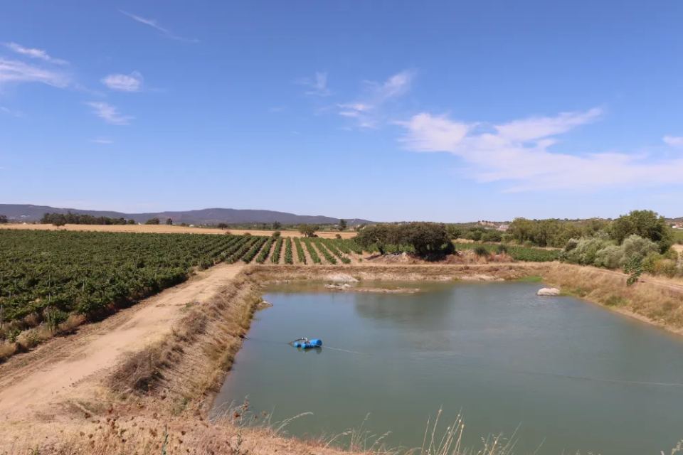 Vineyardsandluxuryestate,For Sale,1010015980 MLS # 1010015980