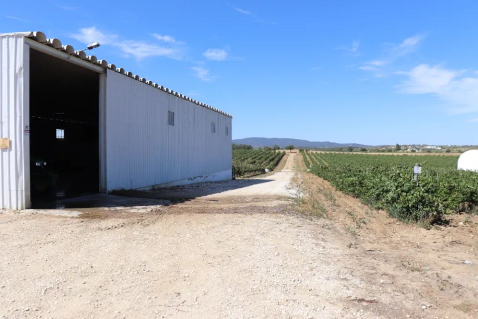 Vineyardsandluxuryestate,For Sale,1010015980 MLS # 1010015980