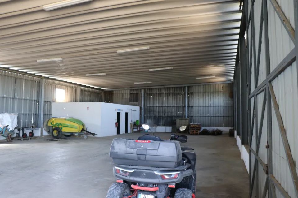 Vineyardsandluxuryestate,For Sale,1010015980 MLS # 1010015980