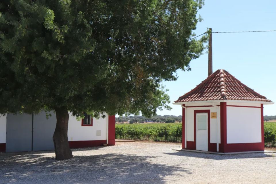 Vineyardsandluxuryestate,For Sale,1010015980 MLS # 1010015980