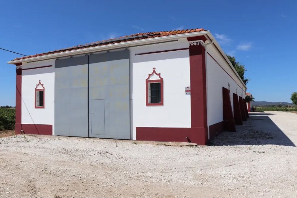 Vineyardsandluxuryestate,For Sale,1010015980 MLS # 1010015980