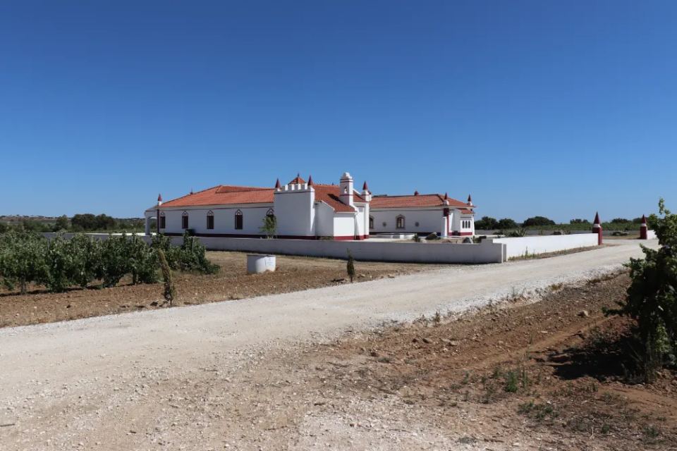 Vineyardsandluxuryestate,For Sale,1010015980 MLS # 1010015980