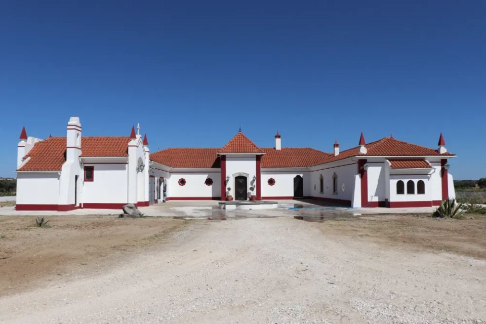 Vineyardsandluxuryestate,For Sale,1010015980 MLS # 1010015980