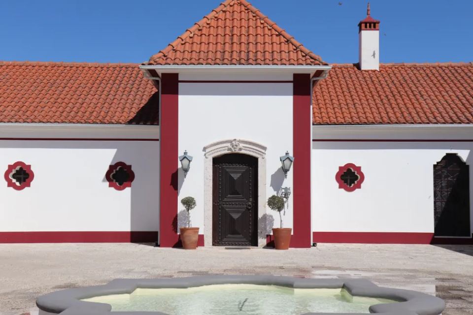 Vineyardsandluxuryestate,For Sale,1010015980 MLS # 1010015980