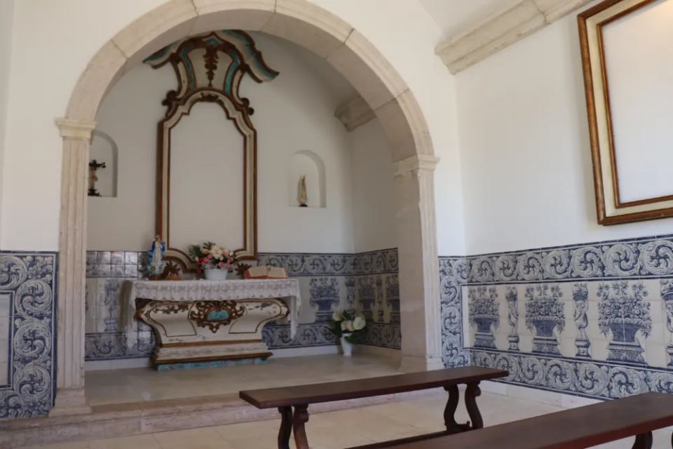 Vineyardsandluxuryestate,For Sale,1010015980 MLS # 1010015980