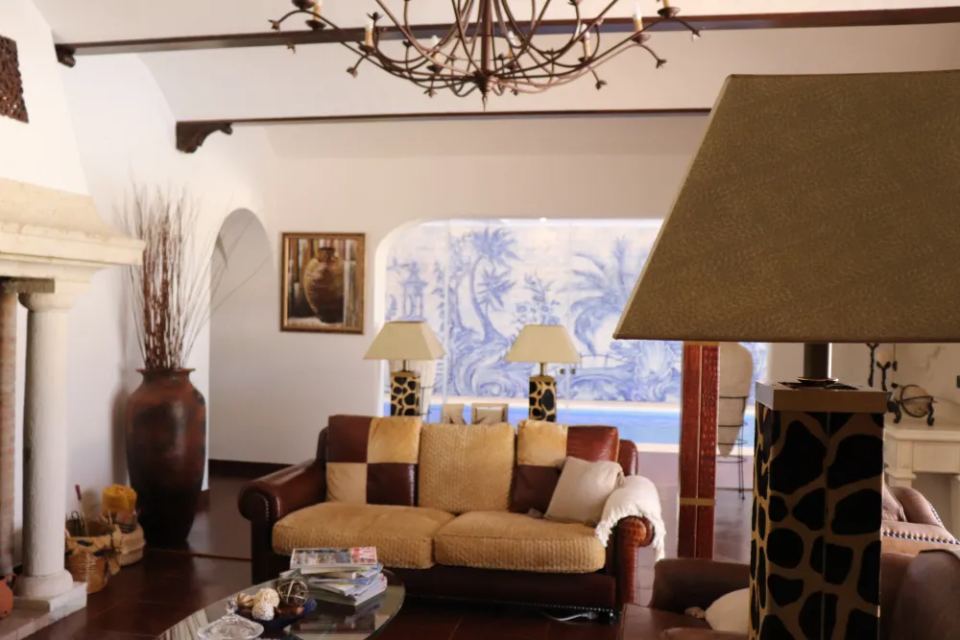 Vineyardsandluxuryestate,For Sale,1010015980 MLS # 1010015980