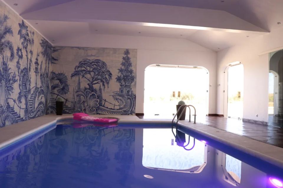 Vineyardsandluxuryestate,For Sale,1010015980 MLS # 1010015980