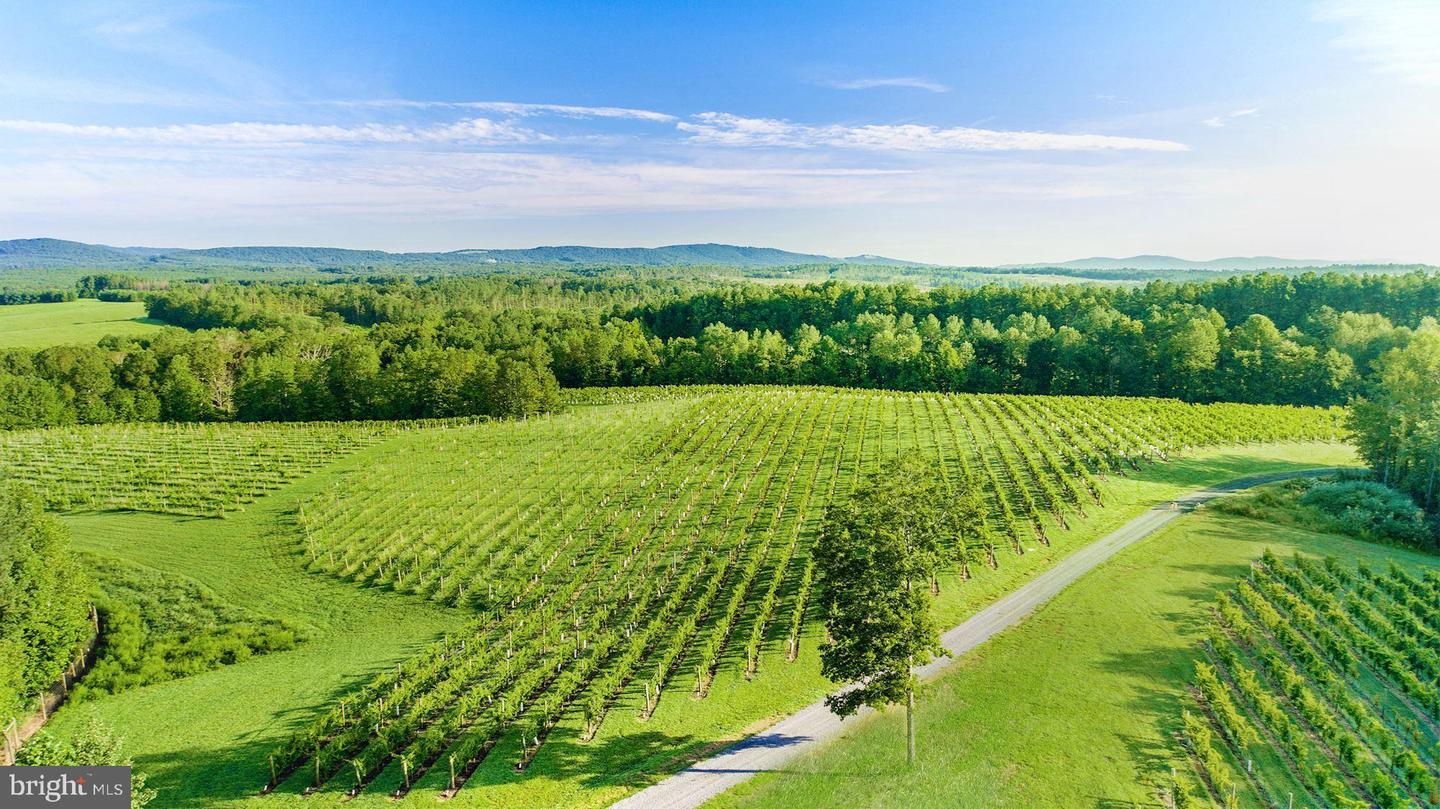 510 MOUNT PLEASANT FARM ROAD, SCOTTSVILLE, Virginia 24590, ,Farm,For Sale,510 MOUNT PLEASANT FARM ROAD,VAAB2000430 MLS # VAAB2000430