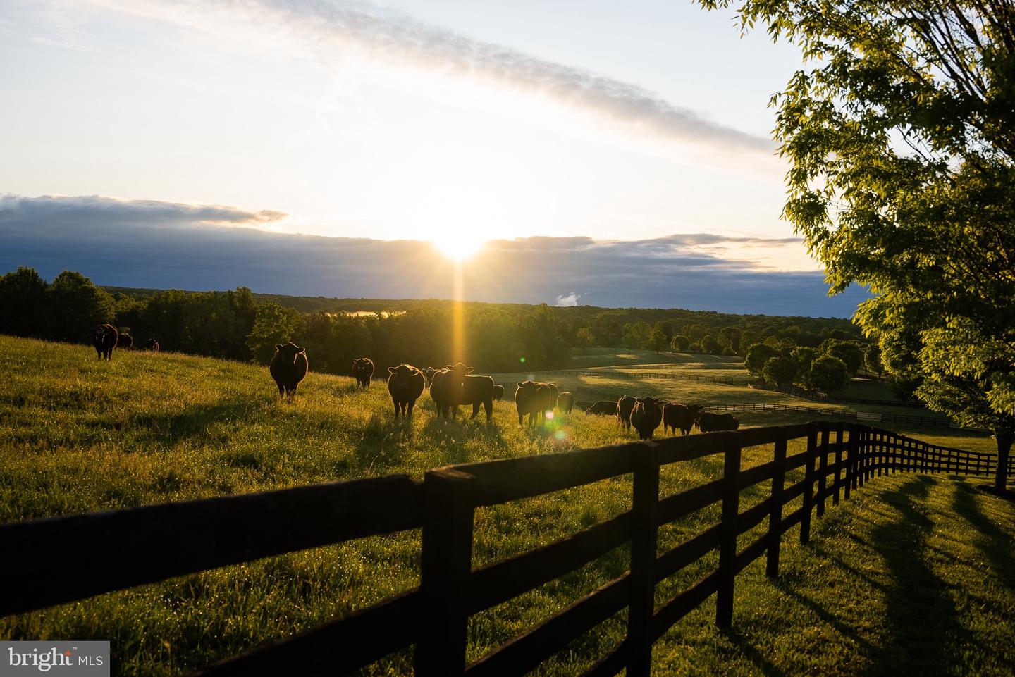 510 MOUNT PLEASANT FARM ROAD, SCOTTSVILLE, Virginia 24590, ,Residential,For Sale,510 MOUNT PLEASANT FARM ROAD,VAAB2000428 MLS # VAAB2000428