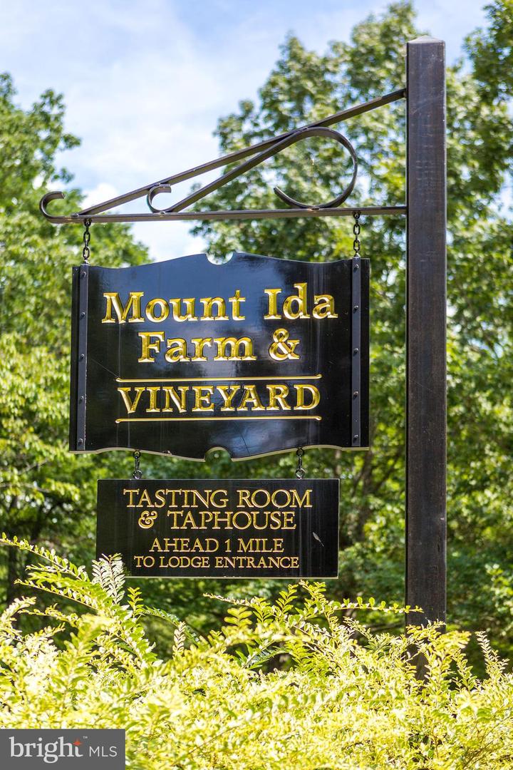 510 MOUNT PLEASANT FARM ROAD, SCOTTSVILLE, Virginia 24590, ,Residential,For Sale,510 MOUNT PLEASANT FARM ROAD,VAAB2000428 MLS # VAAB2000428