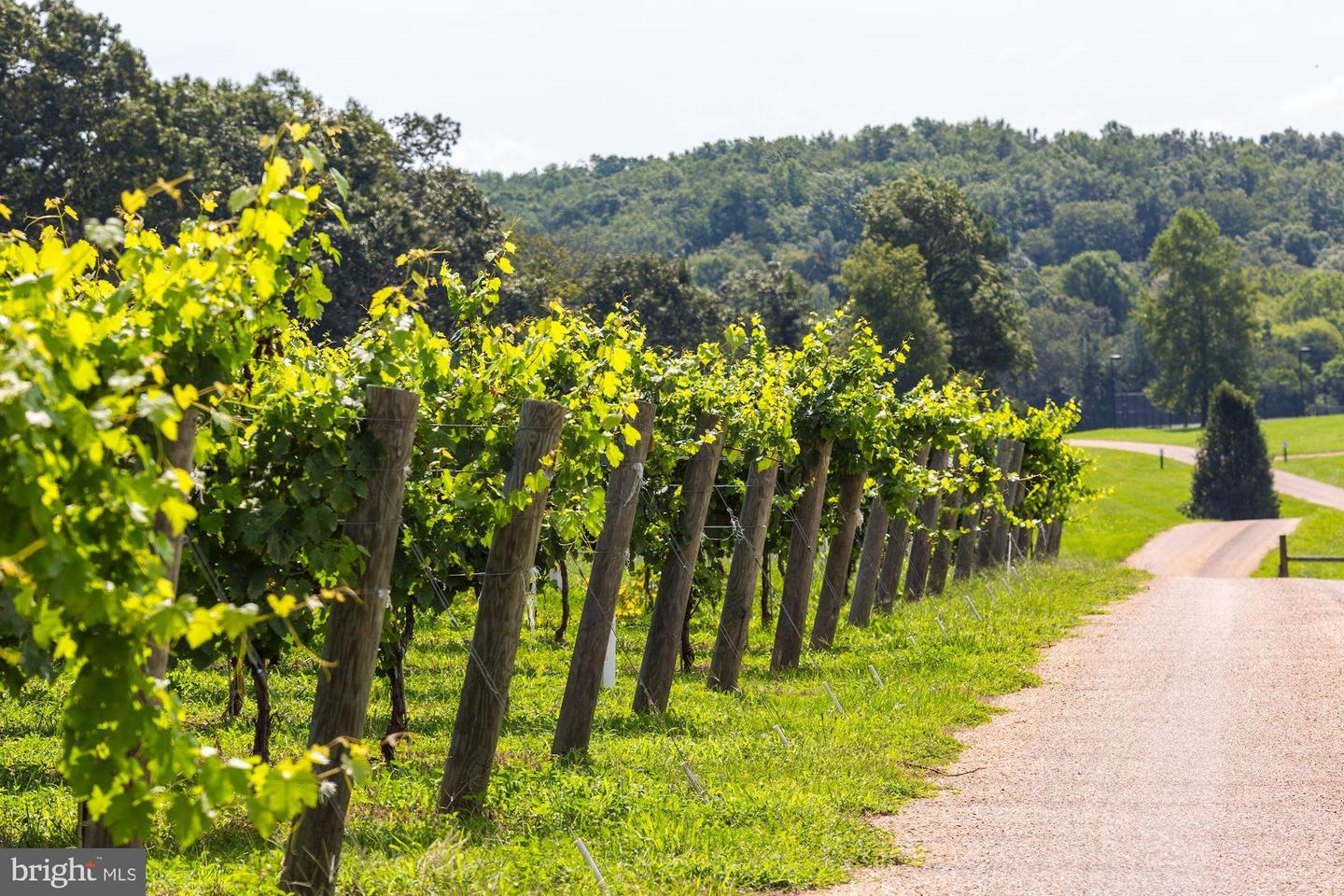 510 MOUNT PLEASANT FARM ROAD, SCOTTSVILLE, Virginia 24590, ,Residential,For Sale,510 MOUNT PLEASANT FARM ROAD,VAAB2000428 MLS # VAAB2000428