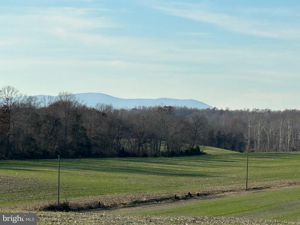 8184 FOX GROVES RD, REMINGTON, Virginia 22734, ,Farm,For Sale,8184 FOX GROVES RD,VACU2006658 MLS # VACU2006658