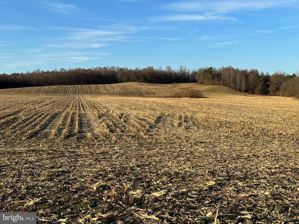 8184 FOX GROVES RD, REMINGTON, Virginia 22734, ,Farm,For Sale,8184 FOX GROVES RD,VACU2006658 MLS # VACU2006658