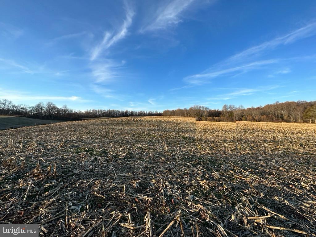 8184 FOX GROVES RD, REMINGTON, Virginia 22734, ,Farm,For Sale,8184 FOX GROVES RD,VACU2006658 MLS # VACU2006658