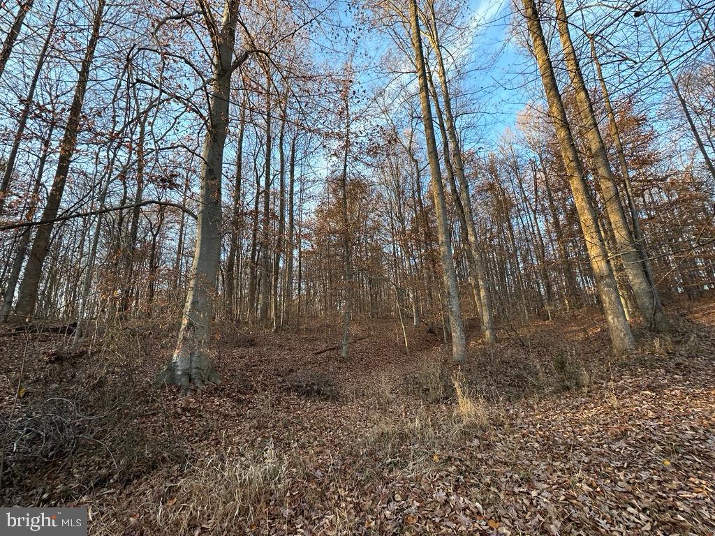 8184 FOX GROVES RD, REMINGTON, Virginia 22734, ,Farm,For Sale,8184 FOX GROVES RD,VACU2006658 MLS # VACU2006658