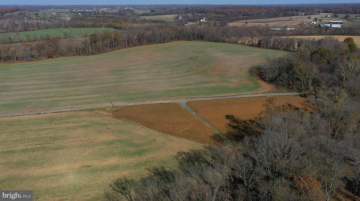 8184 FOX GROVES RD, REMINGTON, Virginia 22734, ,Farm,For Sale,8184 FOX GROVES RD,VACU2006658 MLS # VACU2006658