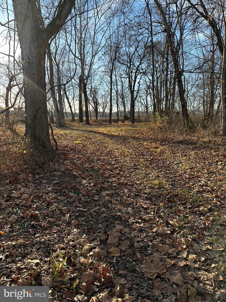 8184 FOX GROVES RD, REMINGTON, Virginia 22734, 2 Bedrooms Bedrooms, ,2 BathroomsBathrooms,Residential,For Sale,8184 FOX GROVES RD,VACU2006660 MLS # VACU2006660