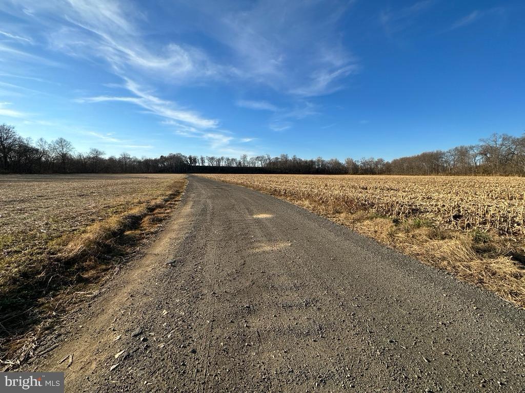 8184 FOX GROVES RD, REMINGTON, Virginia 22734, 2 Bedrooms Bedrooms, ,2 BathroomsBathrooms,Residential,For Sale,8184 FOX GROVES RD,VACU2006660 MLS # VACU2006660