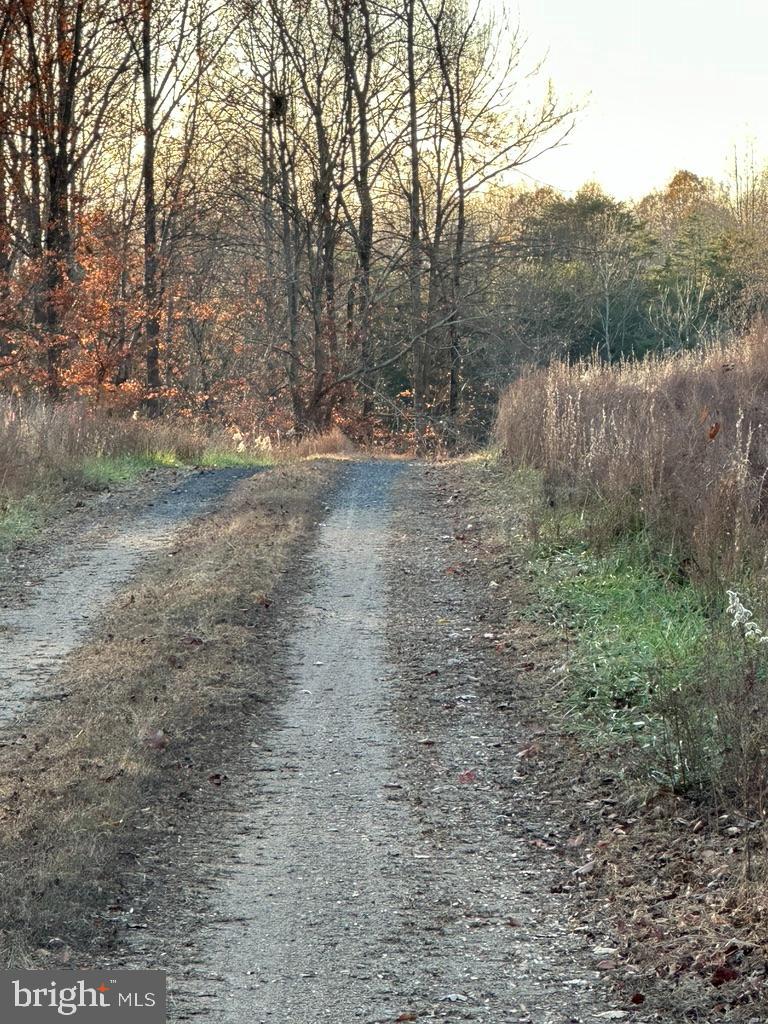 8184 FOX GROVES RD, REMINGTON, Virginia 22734, 2 Bedrooms Bedrooms, ,2 BathroomsBathrooms,Residential,For Sale,8184 FOX GROVES RD,VACU2006660 MLS # VACU2006660