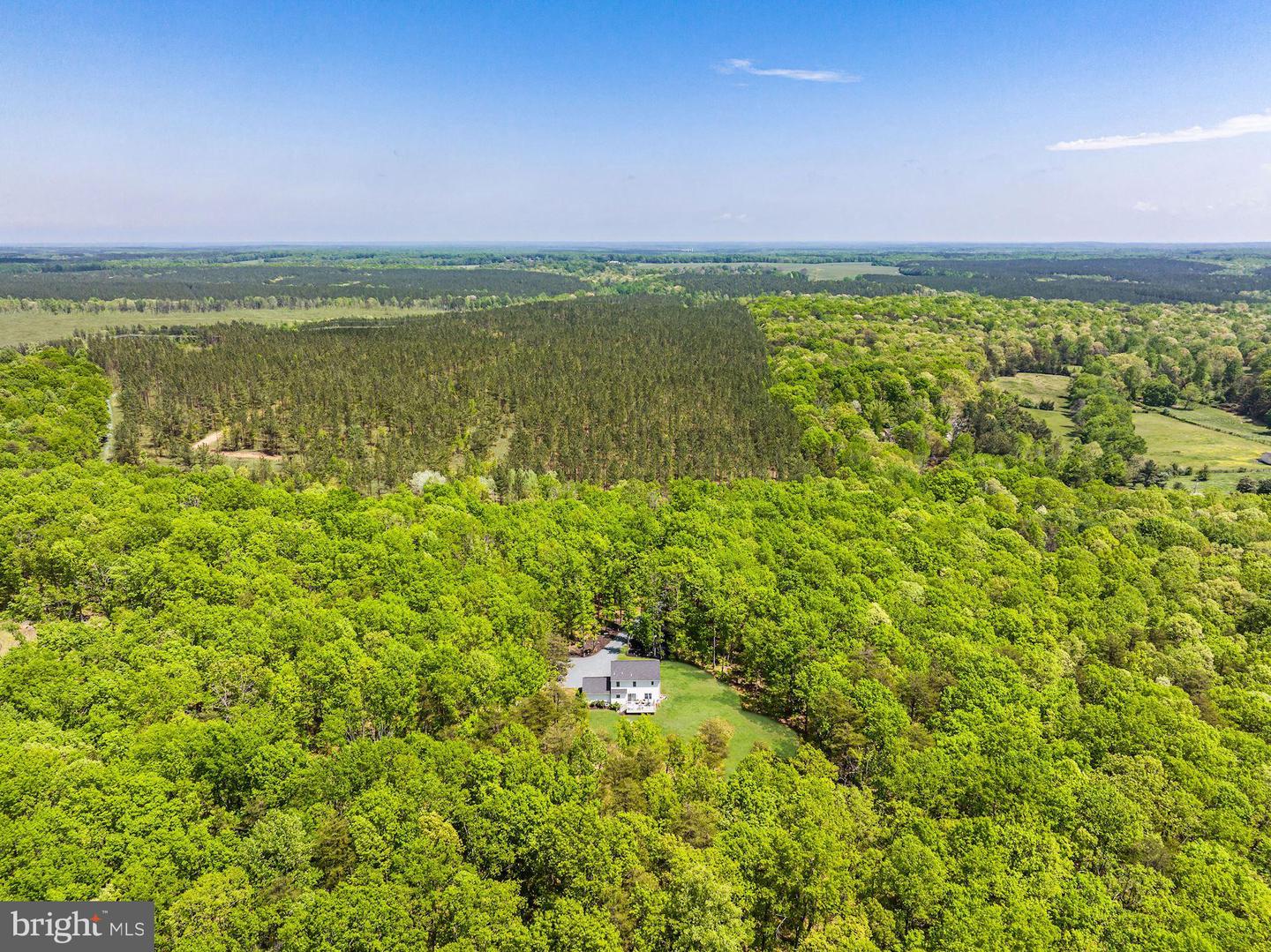 6518 JEFFERSON MILL RD, SCOTTSVILLE, Virginia 24590, ,Farm,For Sale,6518 JEFFERSON MILL RD,VAAB2000600 MLS # VAAB2000600