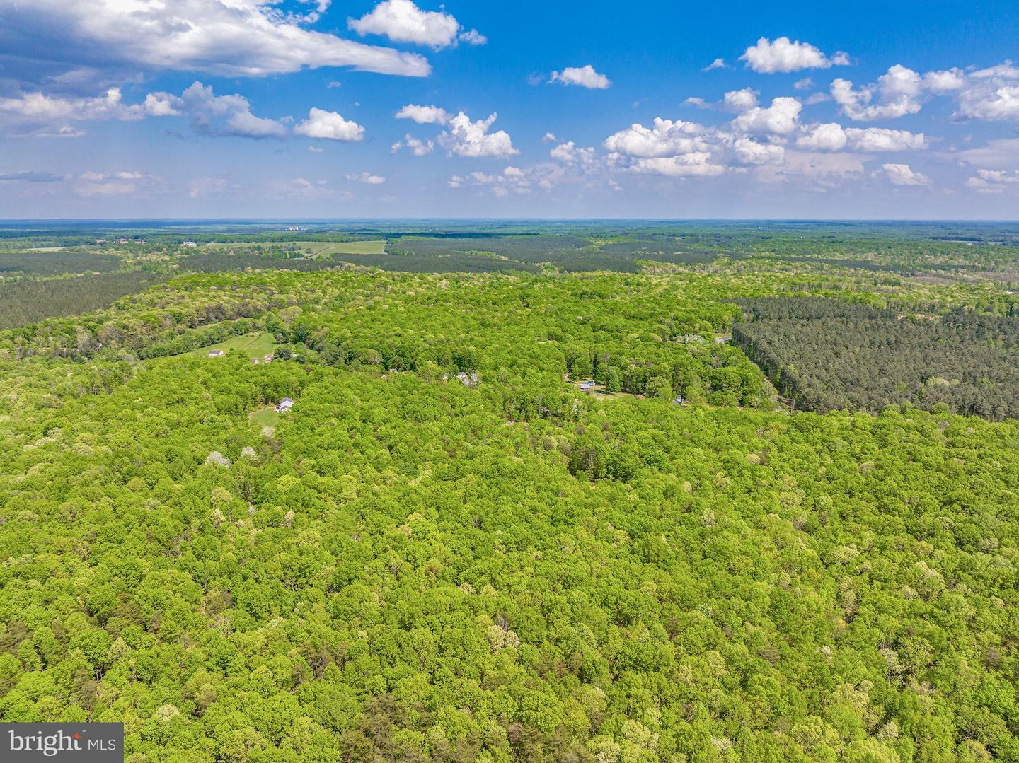 6518 JEFFERSON MILL RD, SCOTTSVILLE, Virginia 24590, ,Farm,For Sale,6518 JEFFERSON MILL RD,VAAB2000600 MLS # VAAB2000600