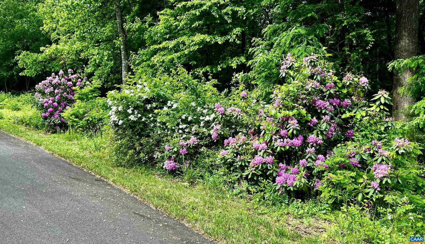 2405 COOPERS LN, CHARLOTTESVILLE, Virginia 22902, 5 Bedrooms Bedrooms, ,6 BathroomsBathrooms,Farm,For Sale,2405 COOPERS LN,653189 MLS # 653189