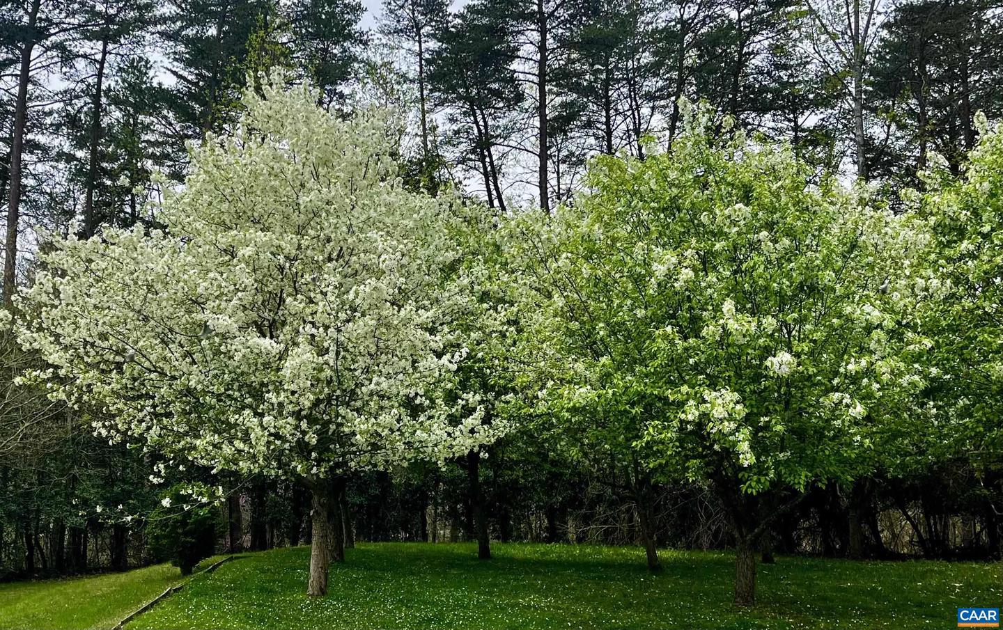 2405 COOPERS LN, CHARLOTTESVILLE, Virginia 22902, 5 Bedrooms Bedrooms, ,6 BathroomsBathrooms,Farm,For Sale,2405 COOPERS LN,653189 MLS # 653189