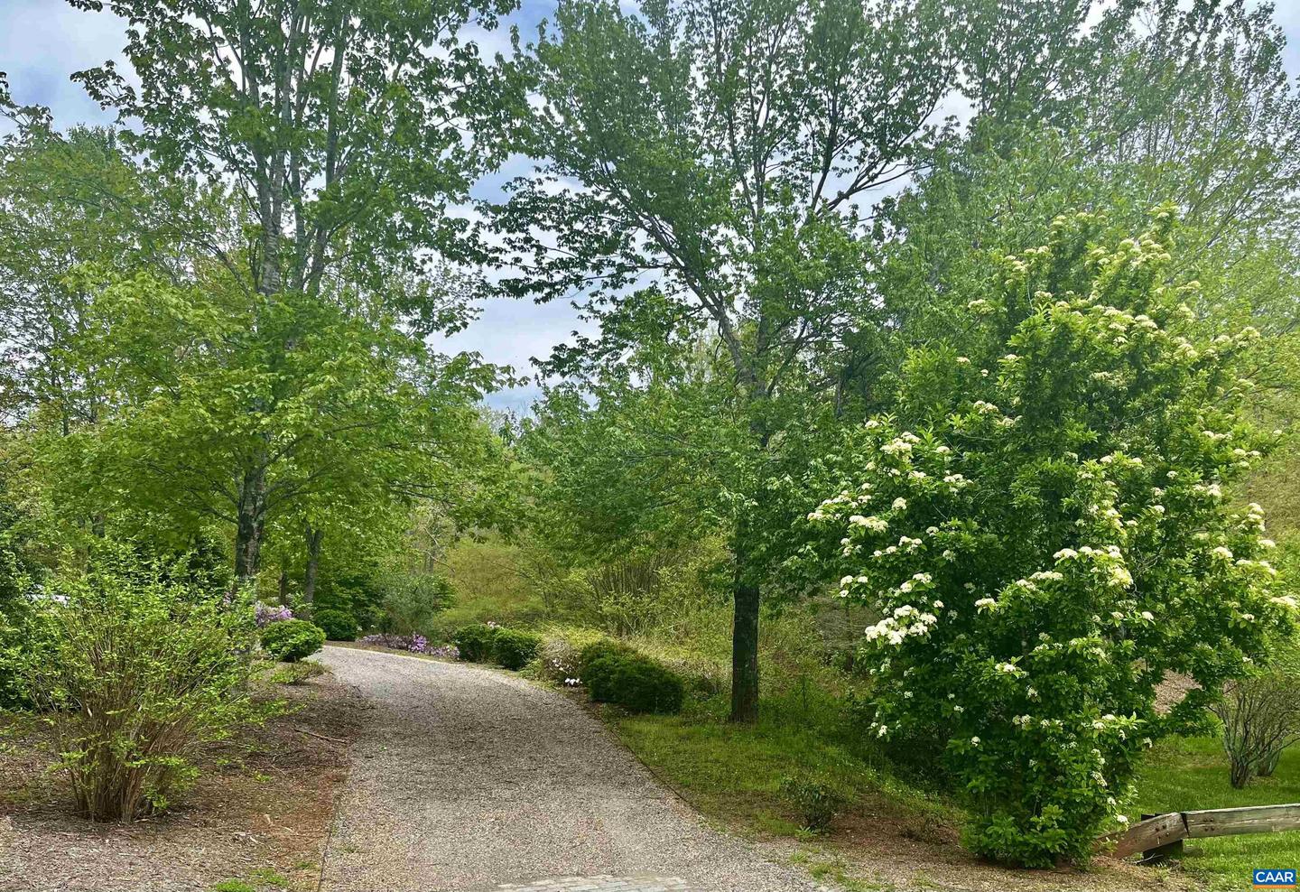 2405 COOPERS LN, CHARLOTTESVILLE, Virginia 22902, 5 Bedrooms Bedrooms, ,6 BathroomsBathrooms,Farm,For Sale,2405 COOPERS LN,653189 MLS # 653189