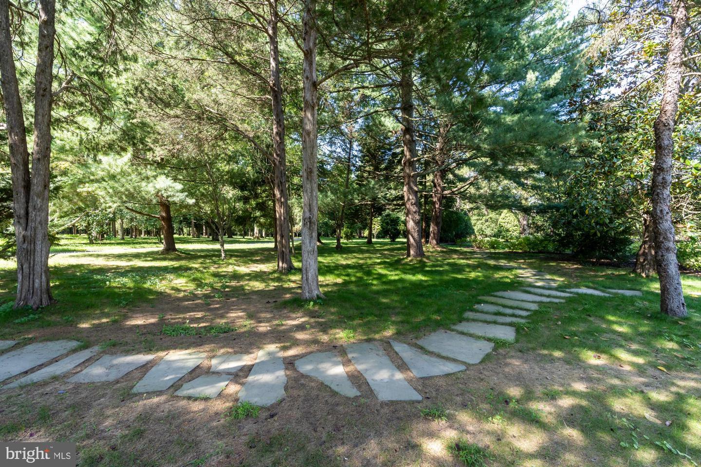 7979 E BOULEVARD DR, ALEXANDRIA, Virginia 22308, 8 Bedrooms Bedrooms, ,9 BathroomsBathrooms,Residential,For Sale,7979 E BOULEVARD DR,VAFX2187472 MLS # VAFX2187472