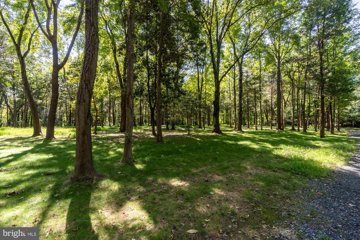 7979 E BOULEVARD DR, ALEXANDRIA, Virginia 22308, 8 Bedrooms Bedrooms, ,9 BathroomsBathrooms,Residential,For Sale,7979 E BOULEVARD DR,VAFX2187472 MLS # VAFX2187472