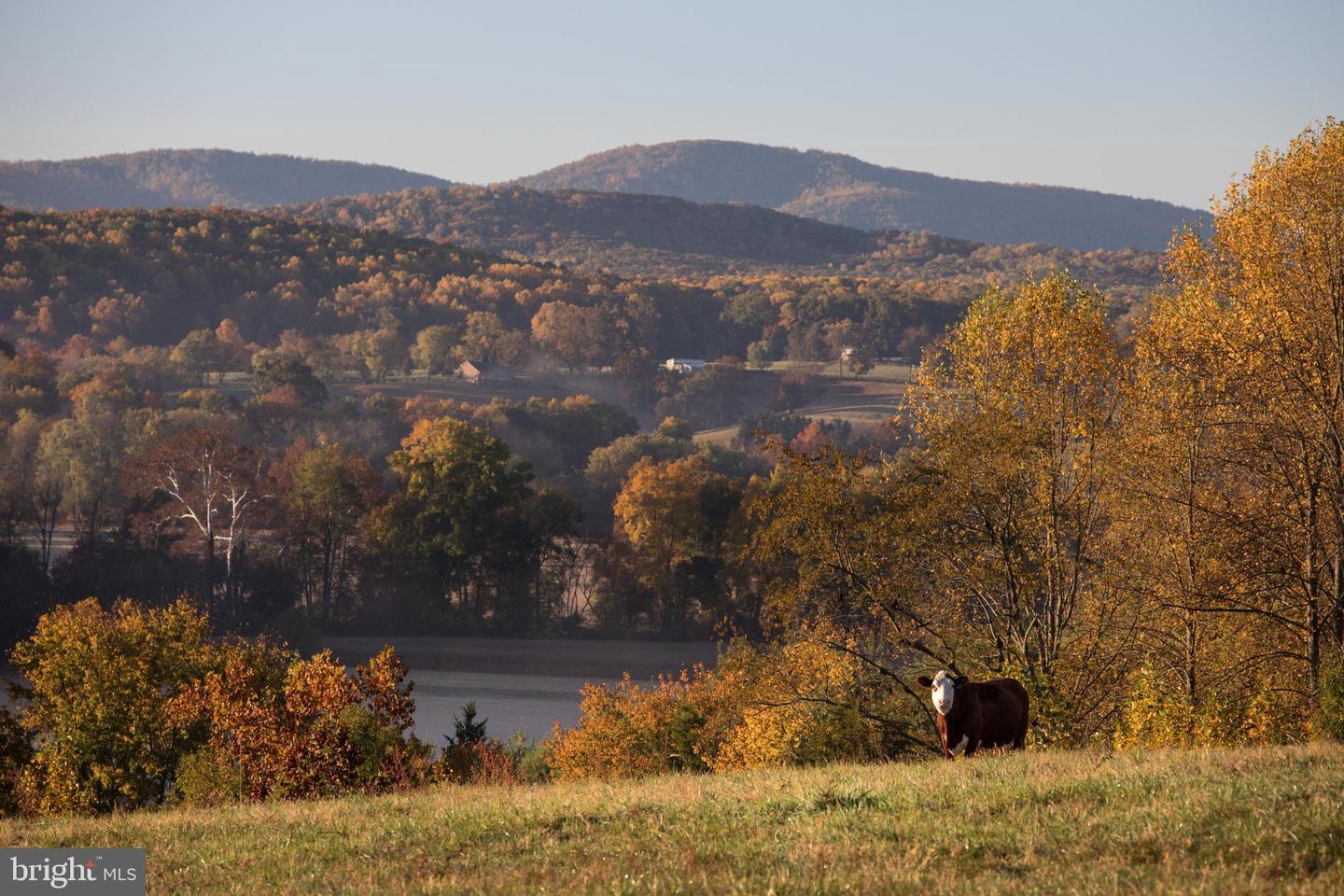 2427 BLUE RIDGE TPKE S, ROCHELLE, Virginia 22738, 4 Bedrooms Bedrooms, ,3 BathroomsBathrooms,Farm,For Sale,2427 BLUE RIDGE TPKE S,VAMA2002016 MLS # VAMA2002016