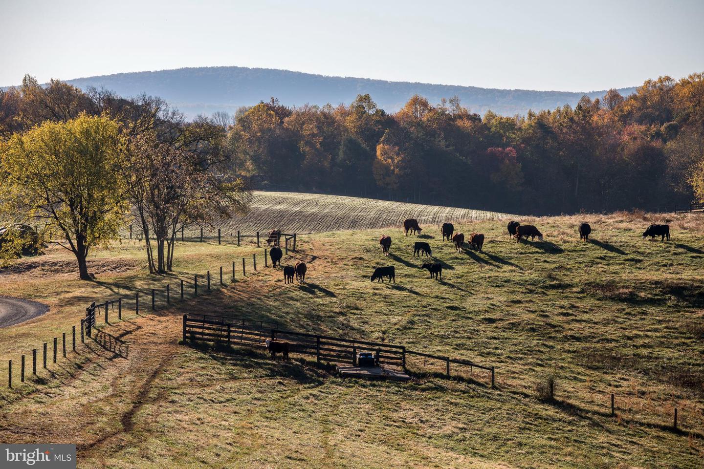 2427 BLUE RIDGE TPKE S, ROCHELLE, Virginia 22738, 4 Bedrooms Bedrooms, ,3 BathroomsBathrooms,Farm,For Sale,2427 BLUE RIDGE TPKE S,VAMA2002016 MLS # VAMA2002016