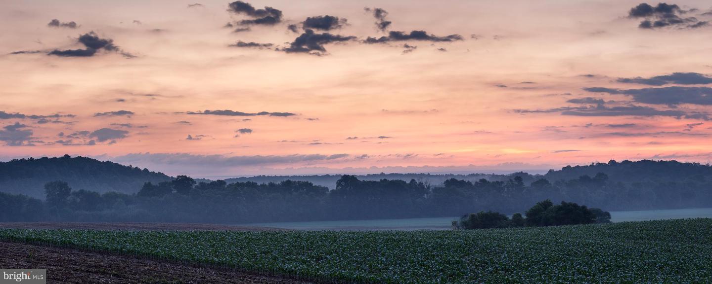 2427 BLUE RIDGE TPKE S, ROCHELLE, Virginia 22738, 4 Bedrooms Bedrooms, ,3 BathroomsBathrooms,Farm,For Sale,2427 BLUE RIDGE TPKE S,VAMA2002016 MLS # VAMA2002016