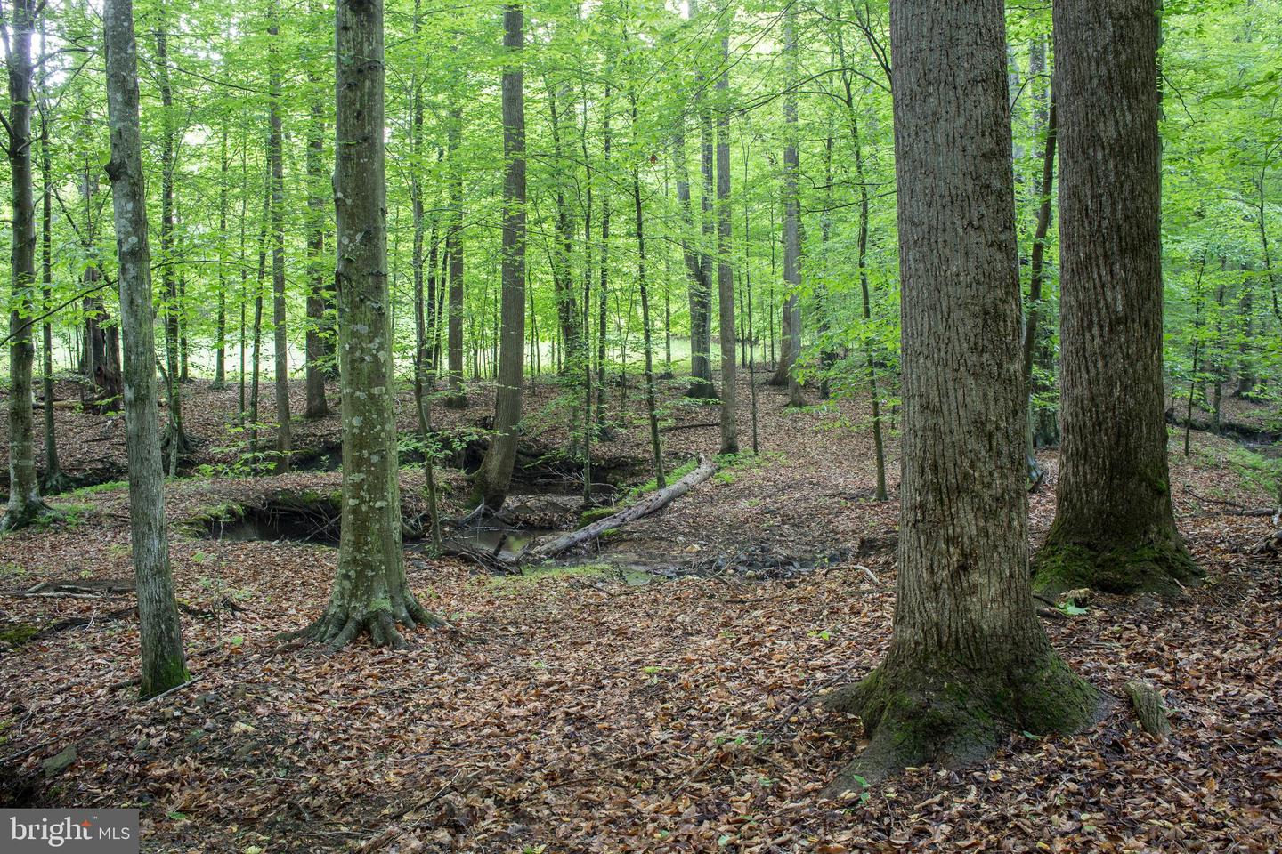 2427 BLUE RIDGE TPKE S, ROCHELLE, Virginia 22738, 4 Bedrooms Bedrooms, ,3 BathroomsBathrooms,Farm,For Sale,2427 BLUE RIDGE TPKE S,VAMA2002016 MLS # VAMA2002016