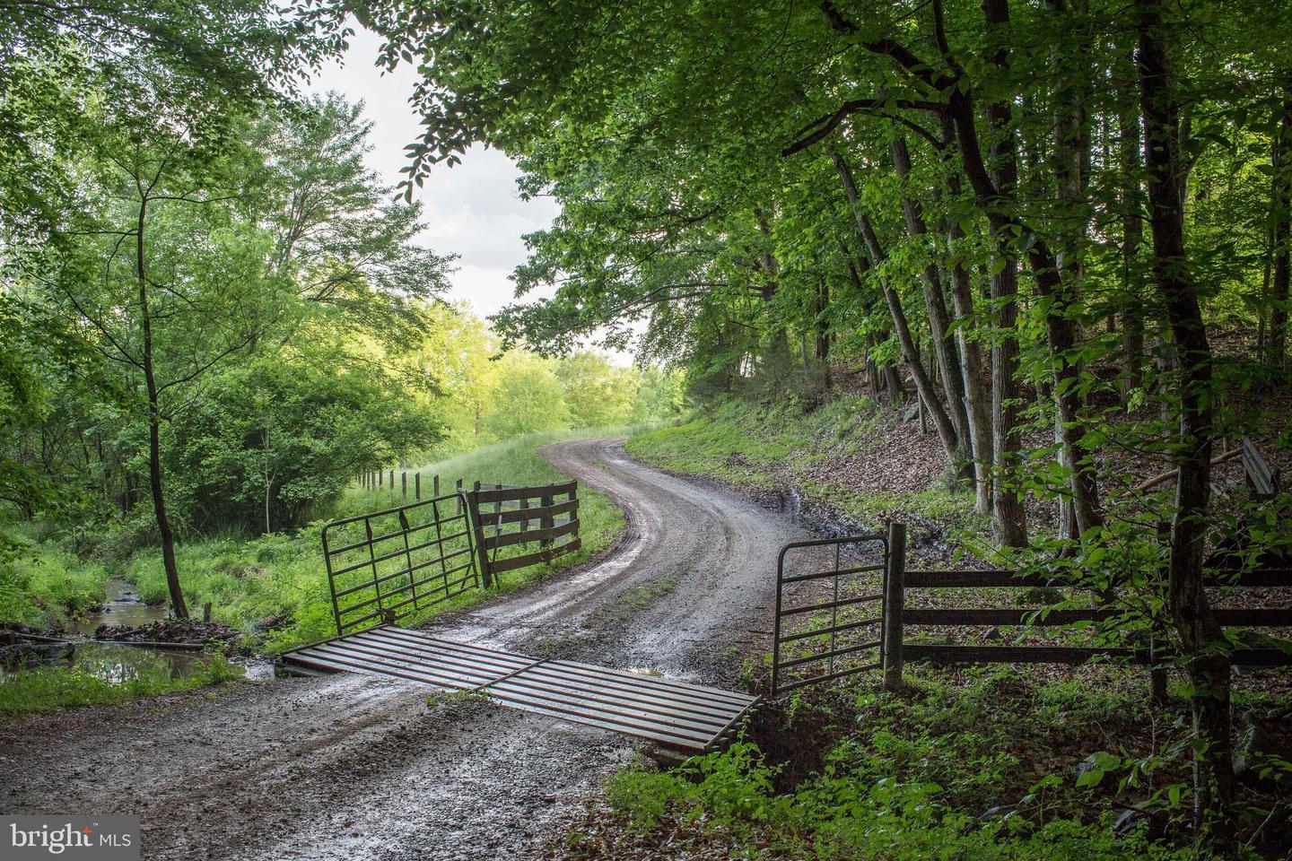 2427 BLUE RIDGE TPKE S, ROCHELLE, Virginia 22738, 4 Bedrooms Bedrooms, ,3 BathroomsBathrooms,Farm,For Sale,2427 BLUE RIDGE TPKE S,VAMA2002016 MLS # VAMA2002016