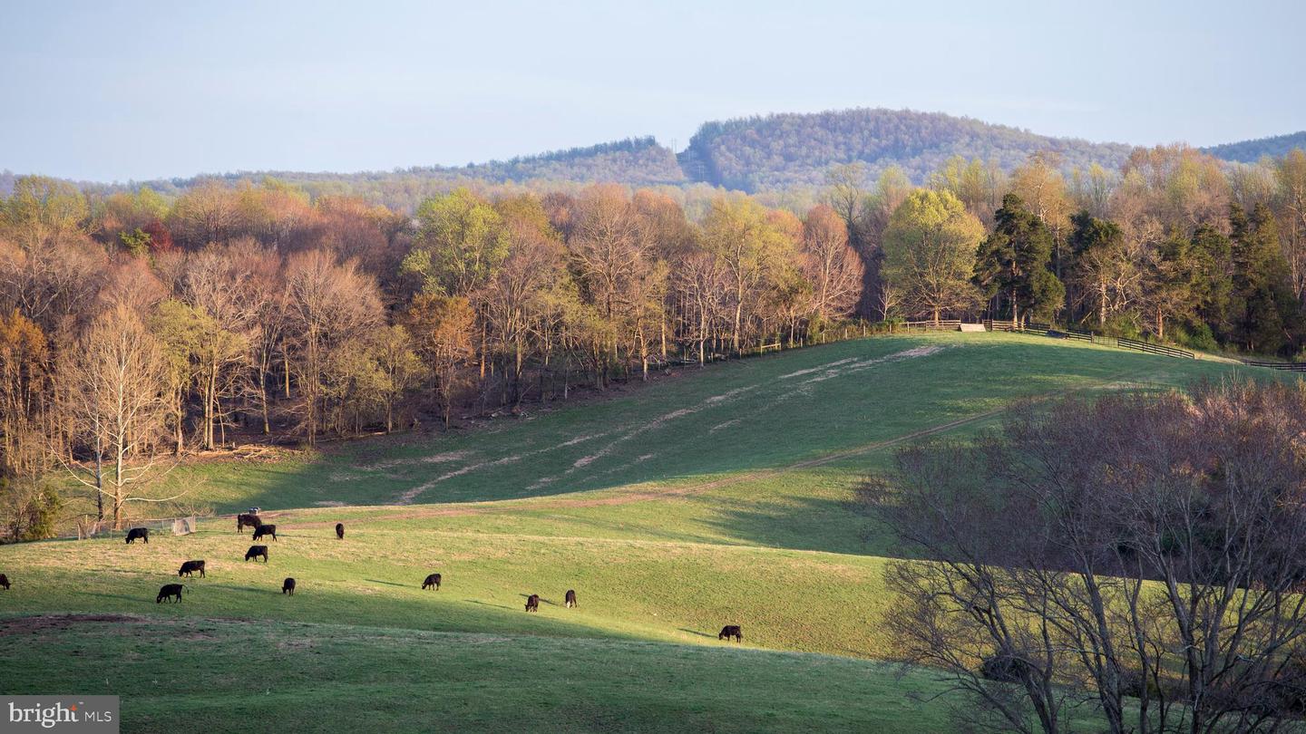 2427 BLUE RIDGE TPKE S, ROCHELLE, Virginia 22738, 4 Bedrooms Bedrooms, ,3 BathroomsBathrooms,Farm,For Sale,2427 BLUE RIDGE TPKE S,VAMA2002016 MLS # VAMA2002016