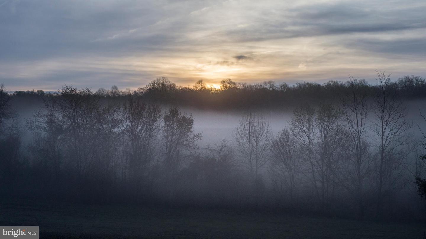 2427 BLUE RIDGE TPKE S, ROCHELLE, Virginia 22738, 4 Bedrooms Bedrooms, ,3 BathroomsBathrooms,Farm,For Sale,2427 BLUE RIDGE TPKE S,VAMA2002016 MLS # VAMA2002016