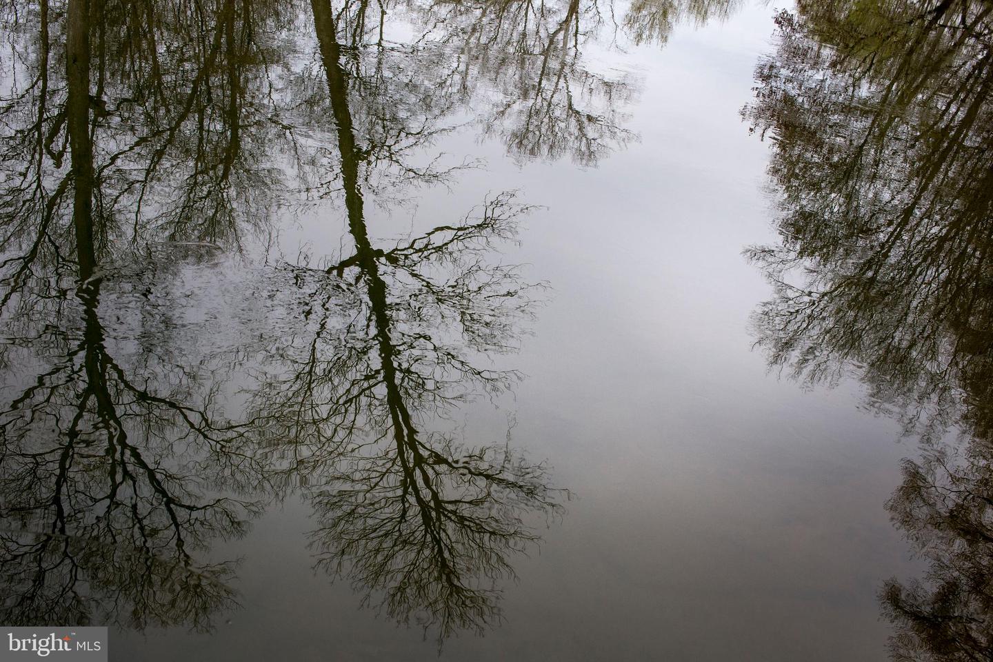 2427 BLUE RIDGE TPKE S, ROCHELLE, Virginia 22738, 4 Bedrooms Bedrooms, ,3 BathroomsBathrooms,Farm,For Sale,2427 BLUE RIDGE TPKE S,VAMA2002016 MLS # VAMA2002016