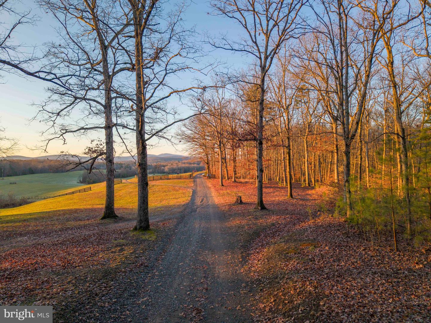 2427 BLUE RIDGE TPKE S, ROCHELLE, Virginia 22738, 4 Bedrooms Bedrooms, ,3 BathroomsBathrooms,Farm,For Sale,2427 BLUE RIDGE TPKE S,VAMA2002016 MLS # VAMA2002016