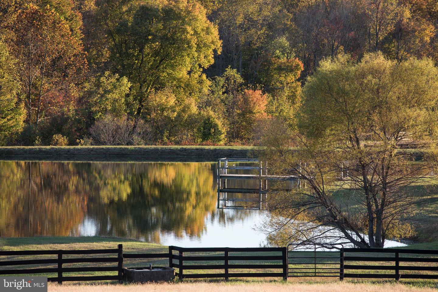 2427 BLUE RIDGE TPKE S, ROCHELLE, Virginia 22738, 4 Bedrooms Bedrooms, ,3 BathroomsBathrooms,Farm,For Sale,2427 BLUE RIDGE TPKE S,VAMA2002016 MLS # VAMA2002016