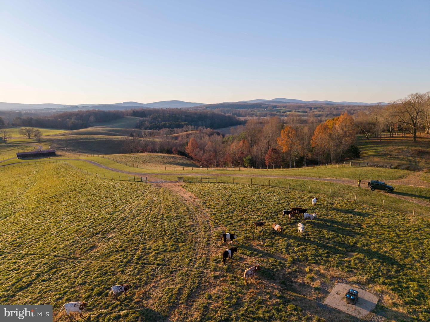 2427 BLUE RIDGE TPKE S, ROCHELLE, Virginia 22738, 4 Bedrooms Bedrooms, ,3 BathroomsBathrooms,Farm,For Sale,2427 BLUE RIDGE TPKE S,VAMA2002016 MLS # VAMA2002016