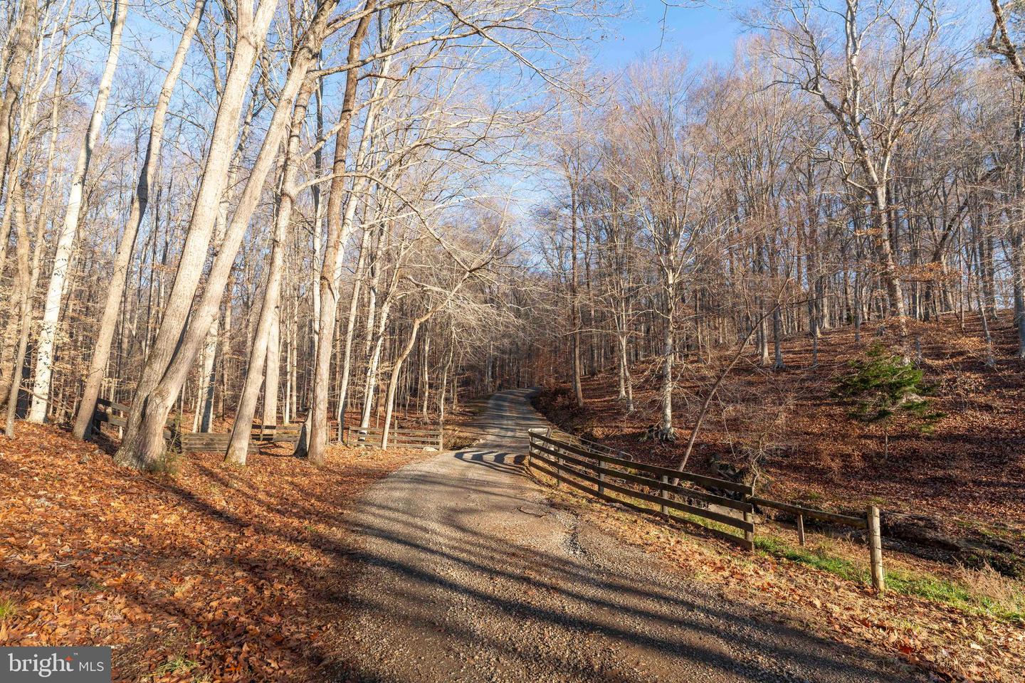 2427 BLUE RIDGE TPKE S, ROCHELLE, Virginia 22738, 4 Bedrooms Bedrooms, ,3 BathroomsBathrooms,Farm,For Sale,2427 BLUE RIDGE TPKE S,VAMA2002016 MLS # VAMA2002016