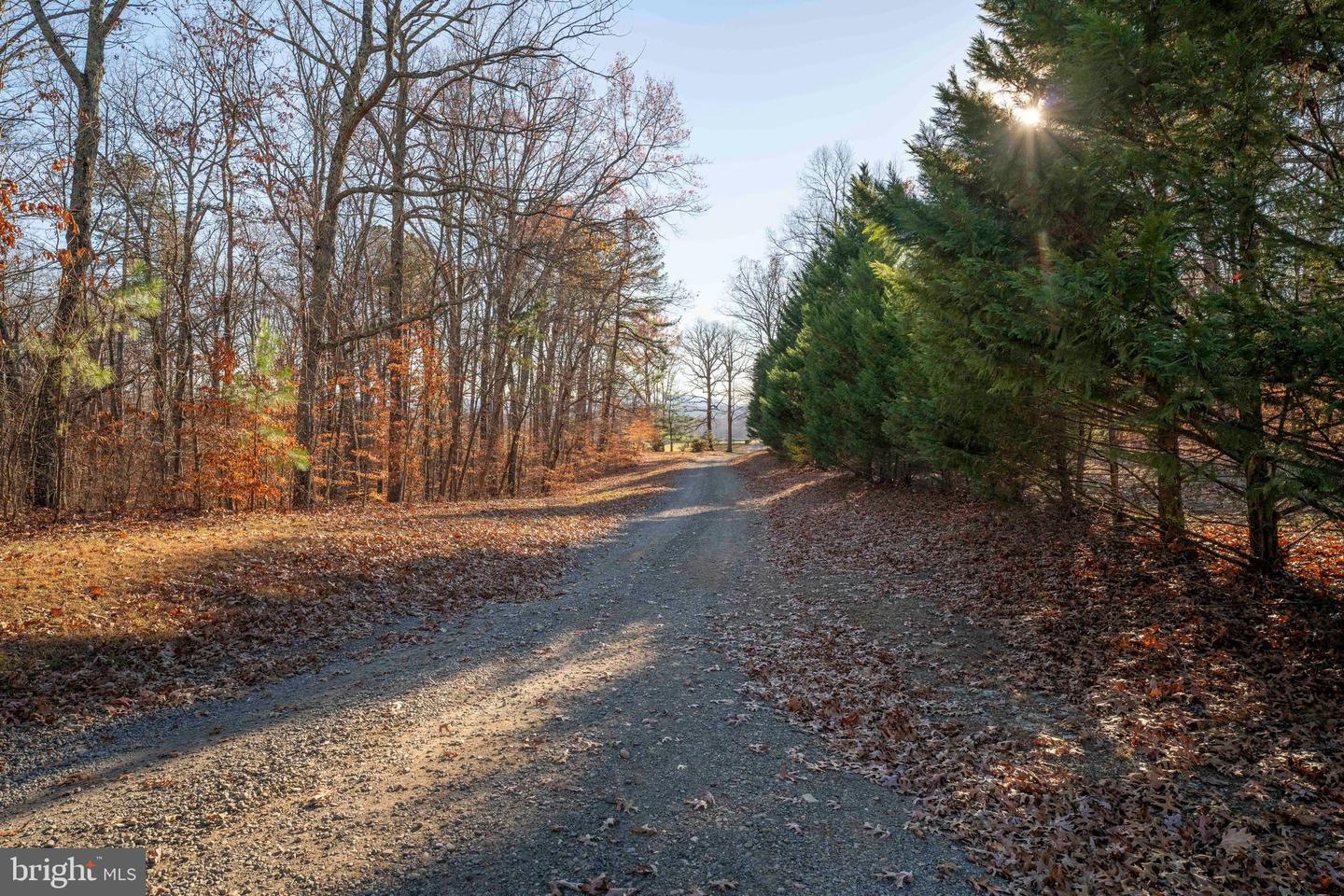 2427 BLUE RIDGE TPKE S, ROCHELLE, Virginia 22738, 4 Bedrooms Bedrooms, ,3 BathroomsBathrooms,Farm,For Sale,2427 BLUE RIDGE TPKE S,VAMA2002016 MLS # VAMA2002016