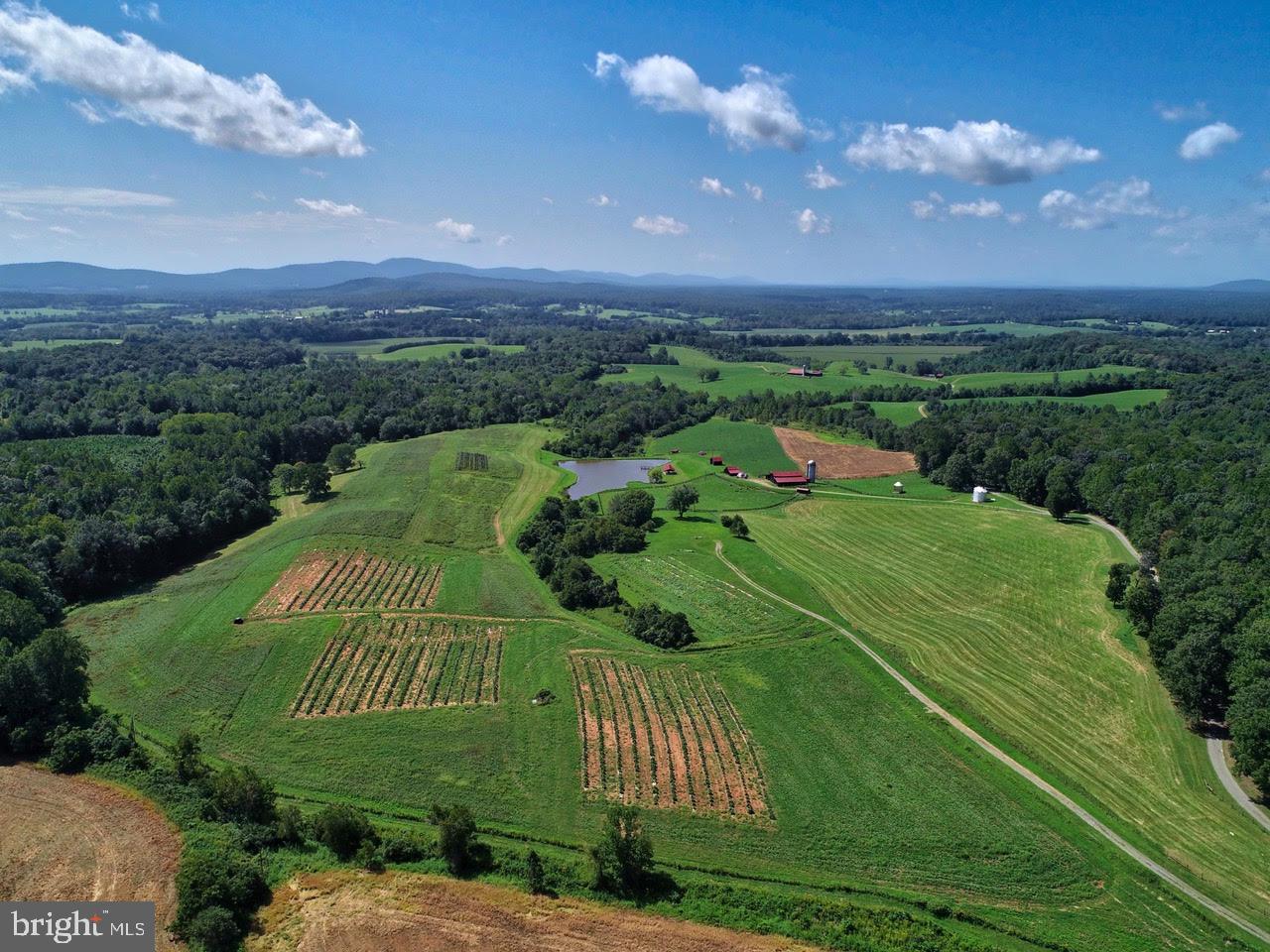 2427 BLUE RIDGE TPKE S, ROCHELLE, Virginia 22738, 4 Bedrooms Bedrooms, ,3 BathroomsBathrooms,Farm,For Sale,2427 BLUE RIDGE TPKE S,VAMA2002016 MLS # VAMA2002016