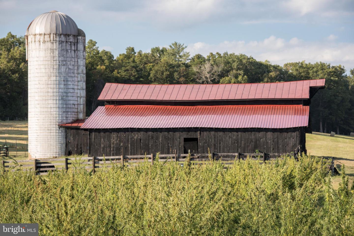 2427 BLUE RIDGE TPKE S, ROCHELLE, Virginia 22738, 4 Bedrooms Bedrooms, ,3 BathroomsBathrooms,Farm,For Sale,2427 BLUE RIDGE TPKE S,VAMA2002016 MLS # VAMA2002016