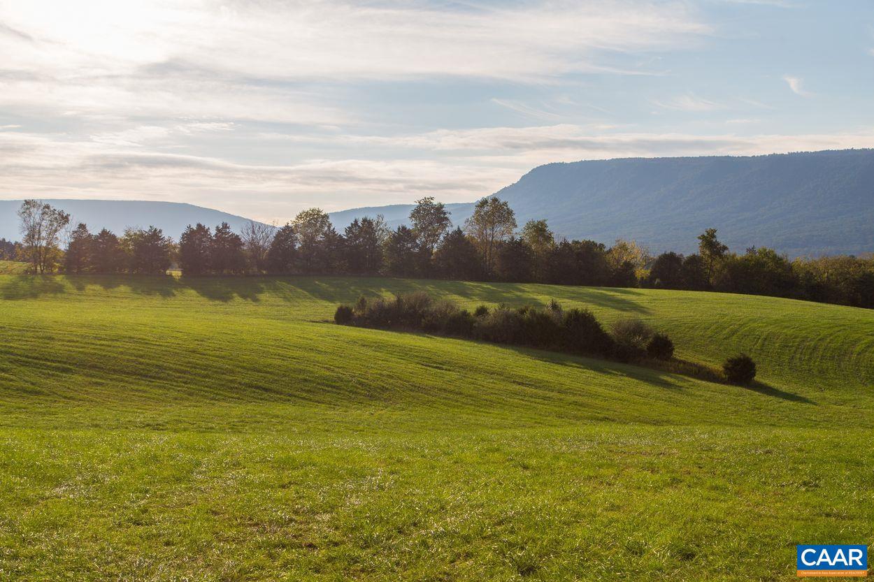 NONE, LURAY, Virginia 22835, ,Farm,For Sale,NONE,660498 MLS # 660498
